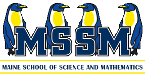 MSSM logo