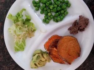 plate of food - exposing children to a variety of food to help with picky eaters