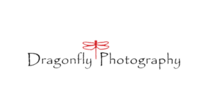 Dragonfly photography on the Seacoast