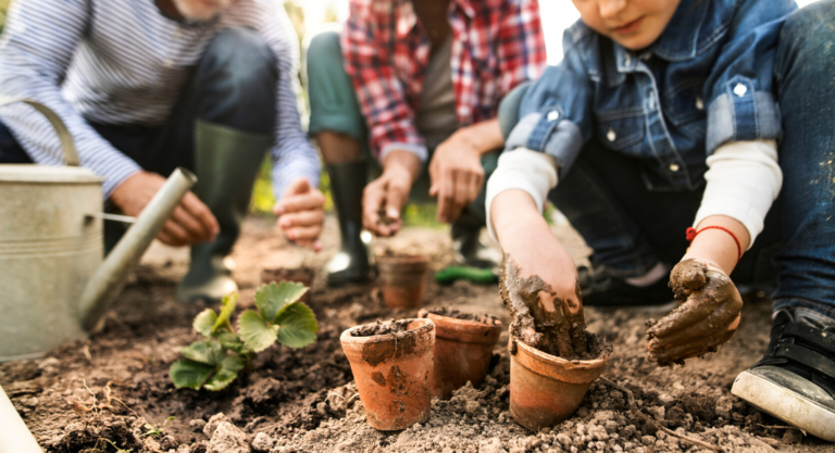 8 Questions About Seacoast Gardening With Kids, Answered
