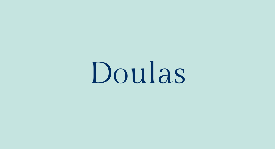 Doulas Seacoast Pregnancy and Postpartum Guide
