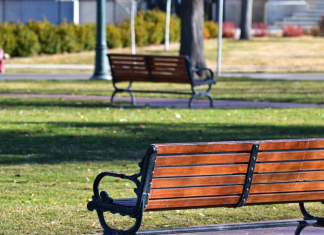 A park bench overlooking an open green space