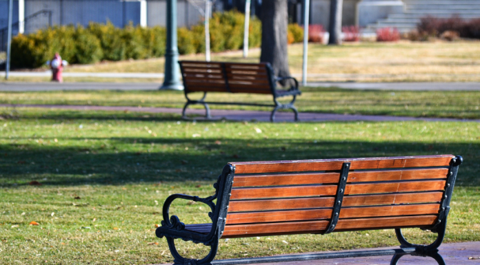 A park bench overlooking an open green space