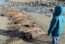 child looks at shipwreck on the Seacoast of New Hampshire