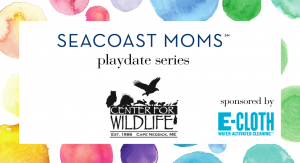Seacoast Moms playdate series